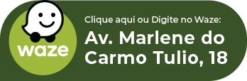 Ícone Waze